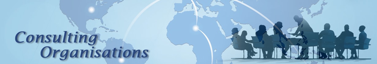 Consulting Organisation